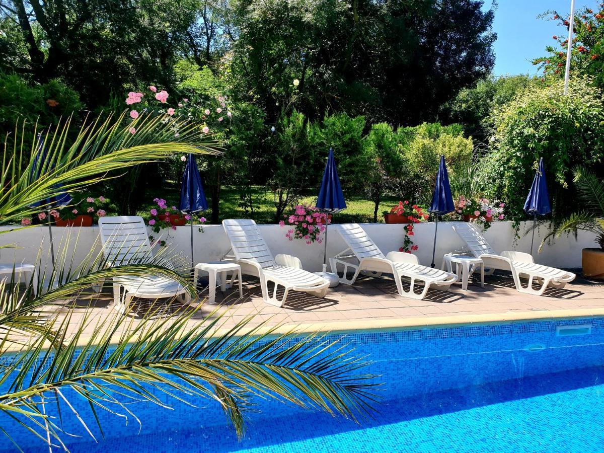 Hotel Feniks Lozenec Exteriér fotografie