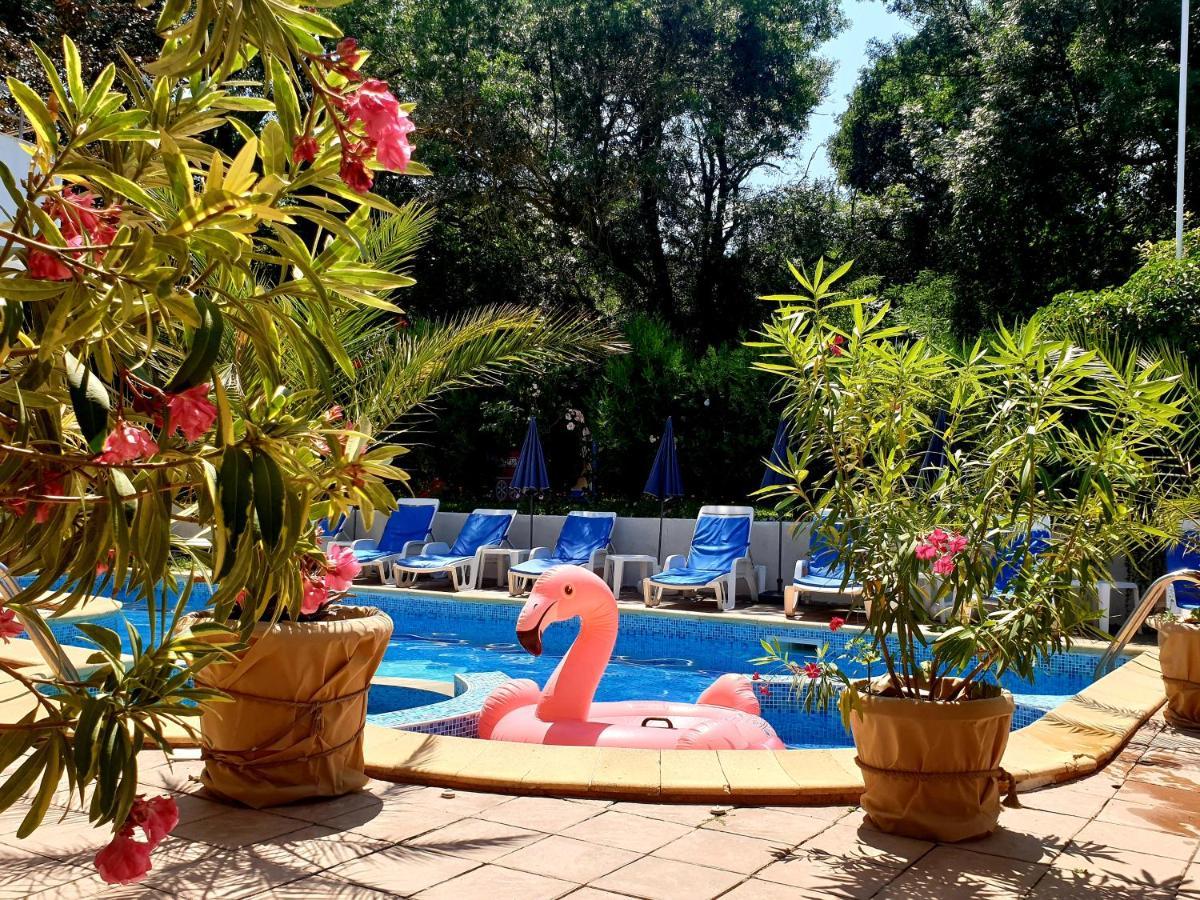 Hotel Feniks Lozenec Exteriér fotografie